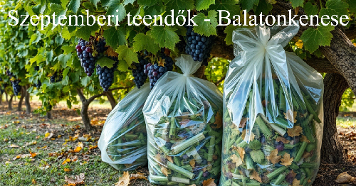 Szeptemberi teendők: Ne feledkezzünk meg a zöldhulladék kezeléséről!